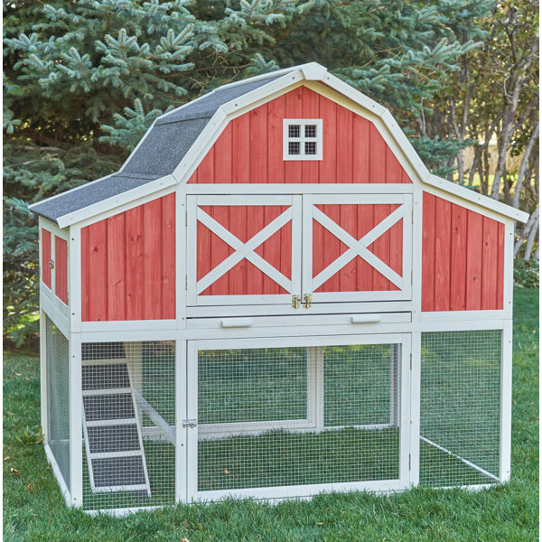 ChickenSaloon Barn Chicken Coop with Roosting Bar & Reviews Wayfair